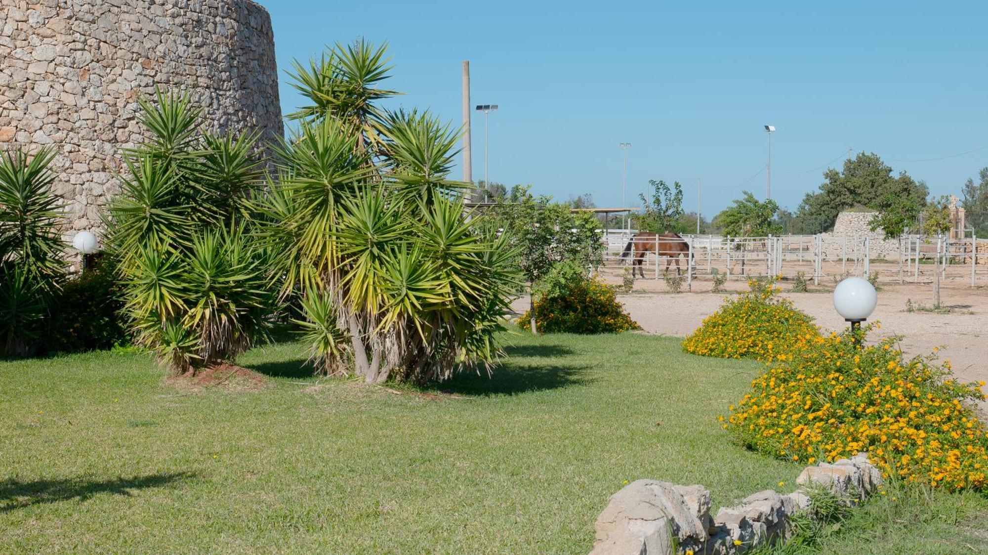 Delle Rose, & Horse Riding Hotel 3*