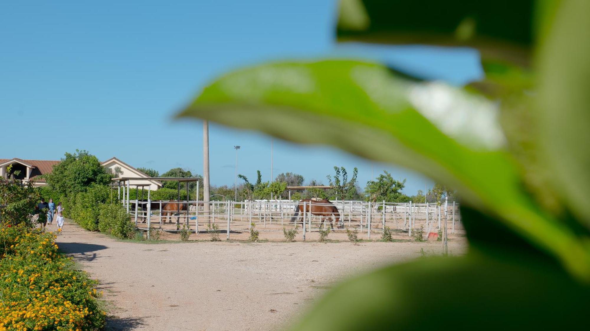 Hotel Delle Rose, & Horse Riding 3*