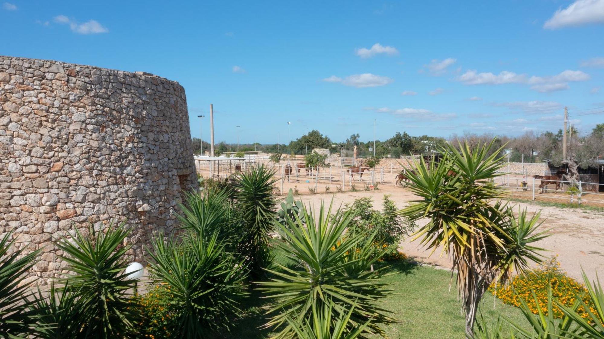 Delle Rose, & Horse Riding Hotel